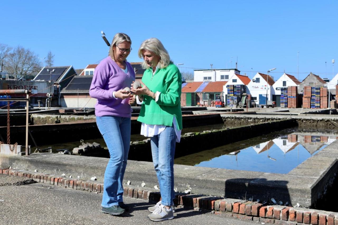 Prachtig Gelegen Vrijstaand Landhuis Hansweert ภายนอก รูปภาพ